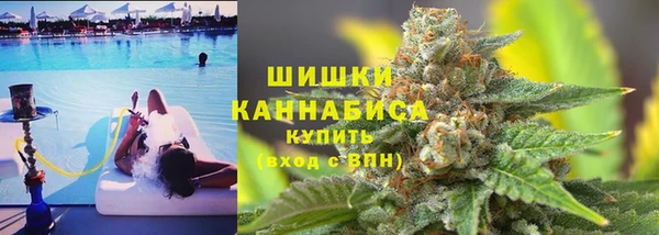 индика Балахна